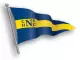 CHNYC Burgee